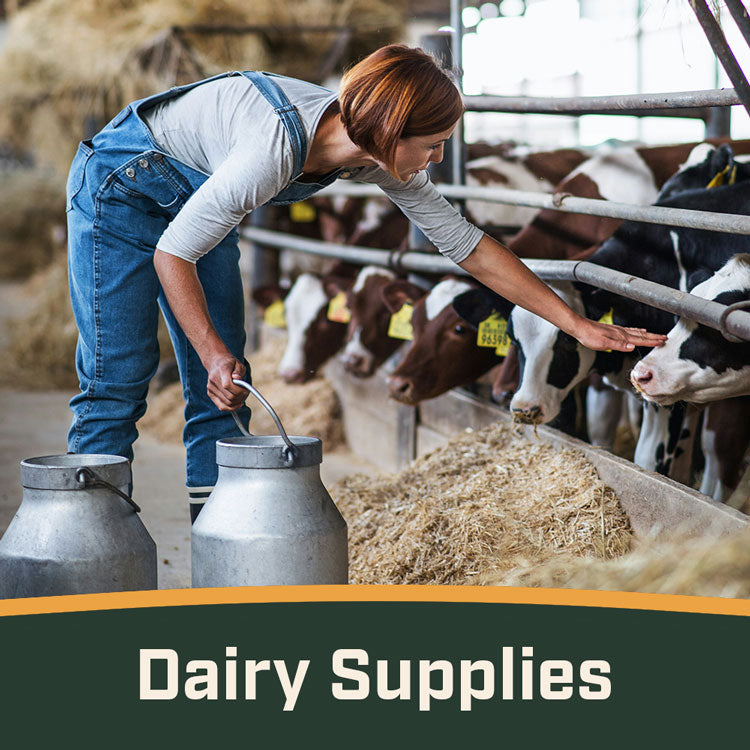 Dairy Supplies