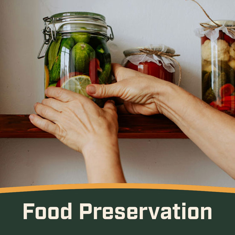 Food Preservation