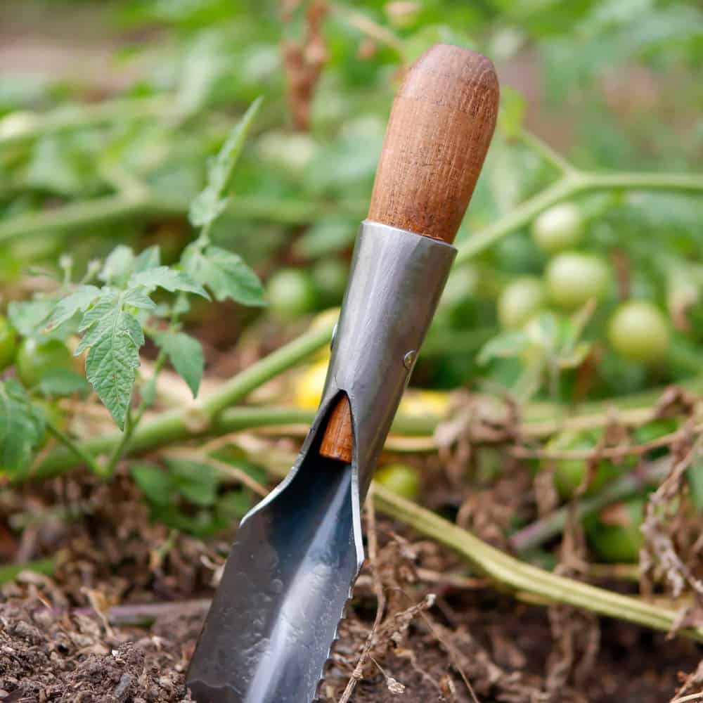 Handmade Hori-Hori Trowel image 2