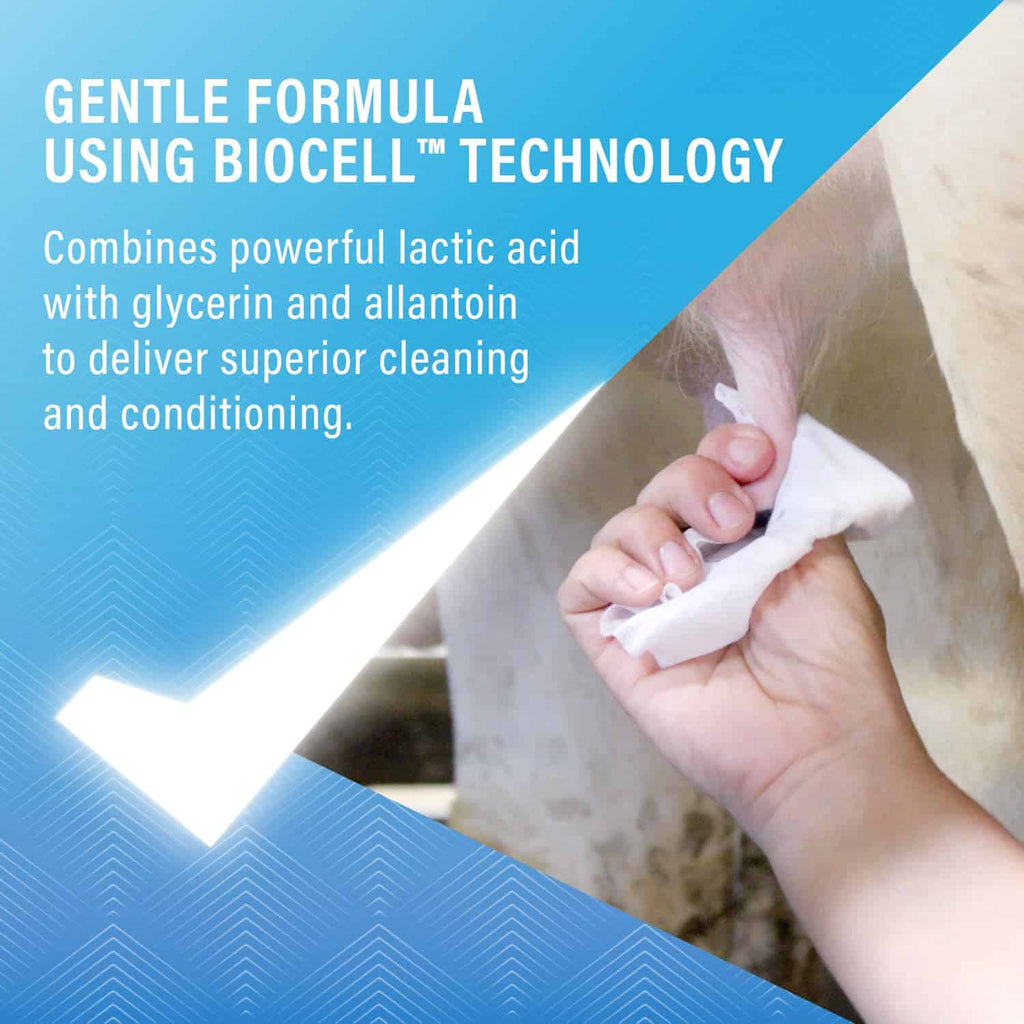 Teat Wipes image 3