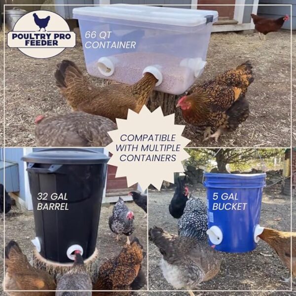 Poultry Pro Chicken Feeder Kit Container Options