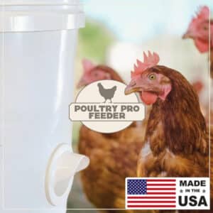 Poultry Pro Chicken Feeder Kit