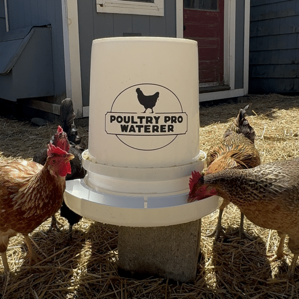 Poultry Pro Chicken Waterer - Image 3